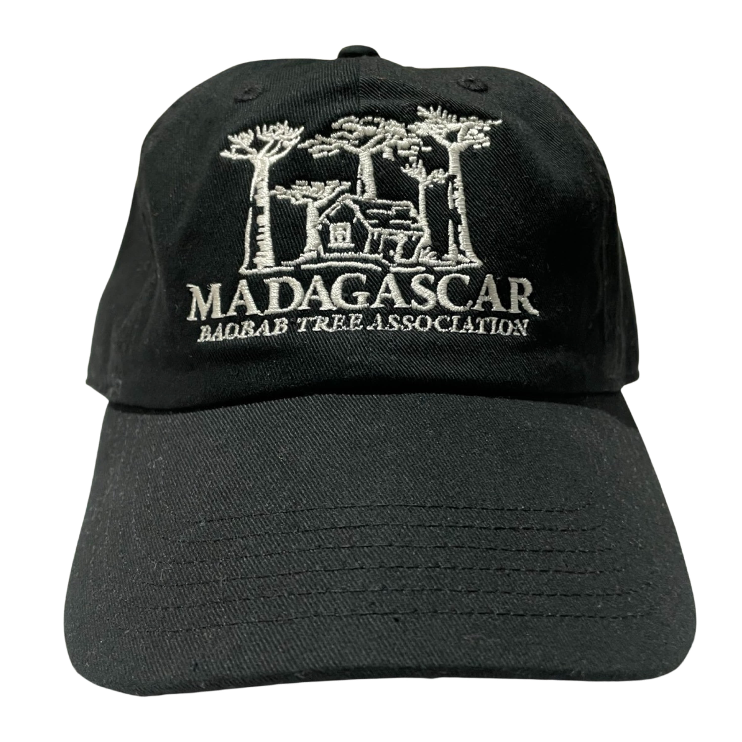 The Childhood Home Madagascar 6P Cap (Black)