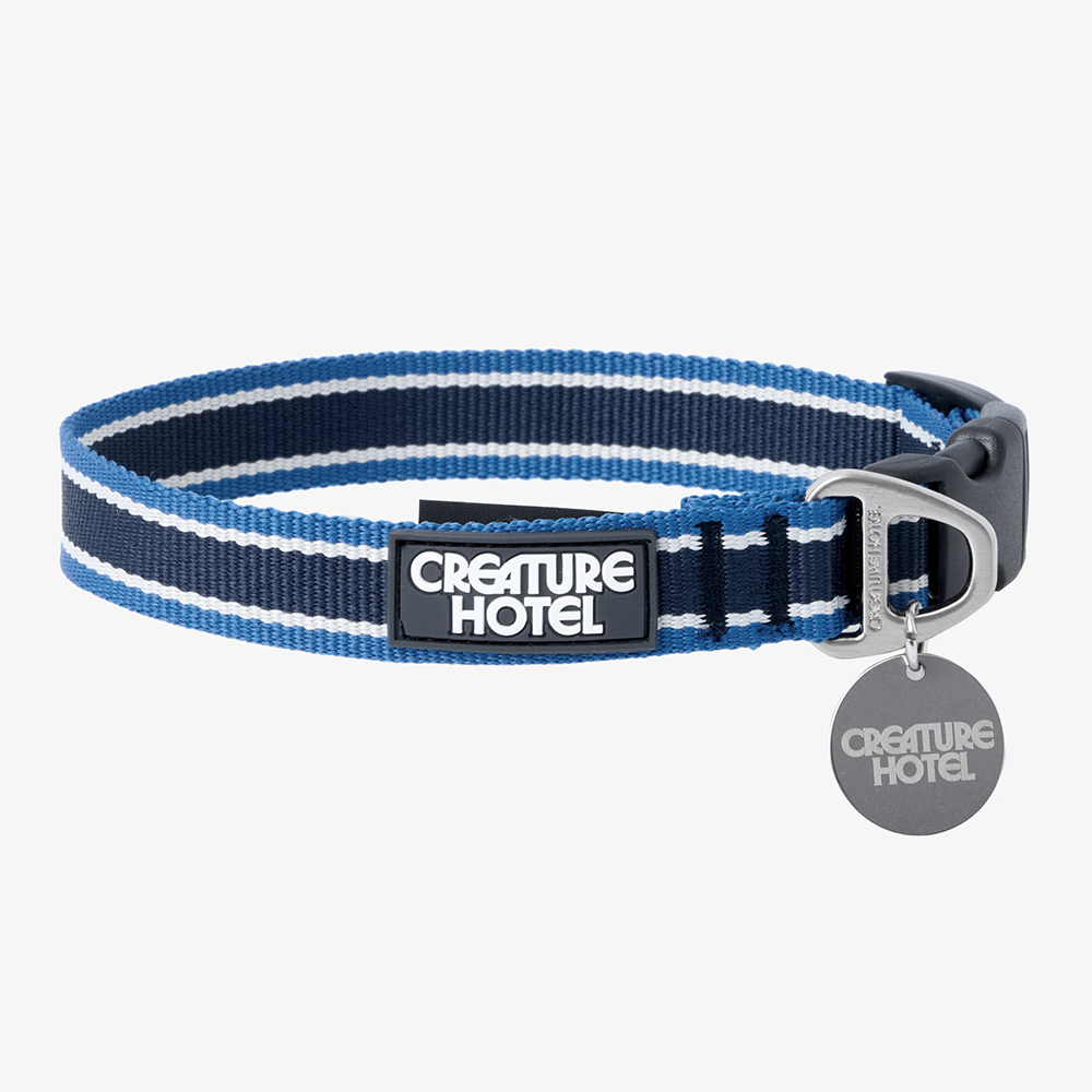 Striped Webbing Dog Collar—Blue