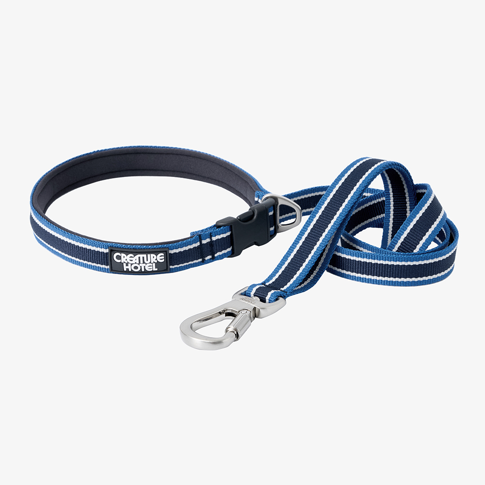 Striped Webbing Dog Leash—Blue