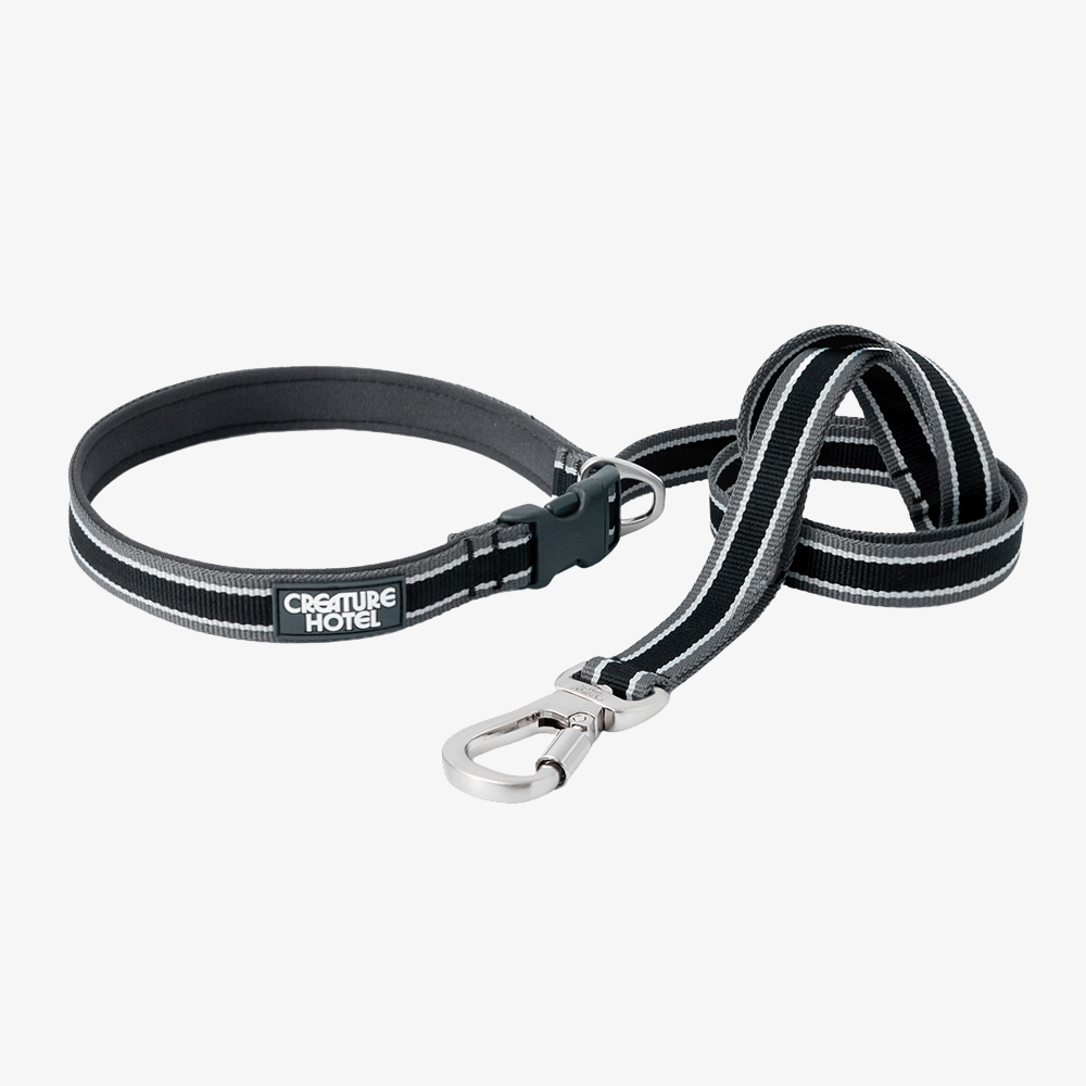 Striped Webbing Dog Leash—Black